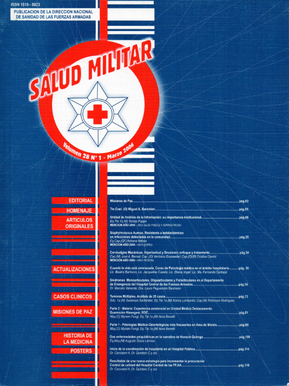 					Ver Vol. 28 Núm. 1 (2006)
				